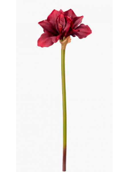 Декоративный цветок Амариллис 70см