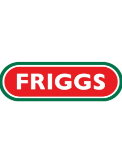 Товары Friggs