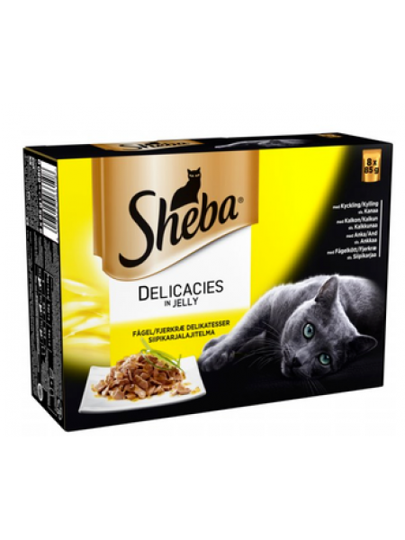 Влажный корм для взрослых кошек Sheba Delicacies 8x85г птица